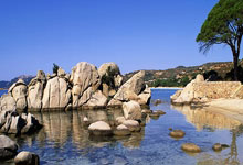 欢迎在宝塔面板安装Z-BlogPHP!